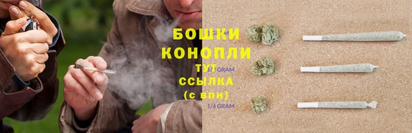 крисы Горнозаводск