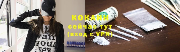 крисы Горнозаводск