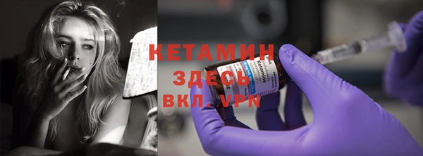 стафф Гусев